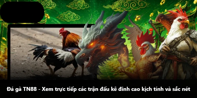Đá Gà TN88 - Xem Trực Tiếp Các Trận Đấu Kê Đỉnh Cao Kịch Tính Và Sắc Nét