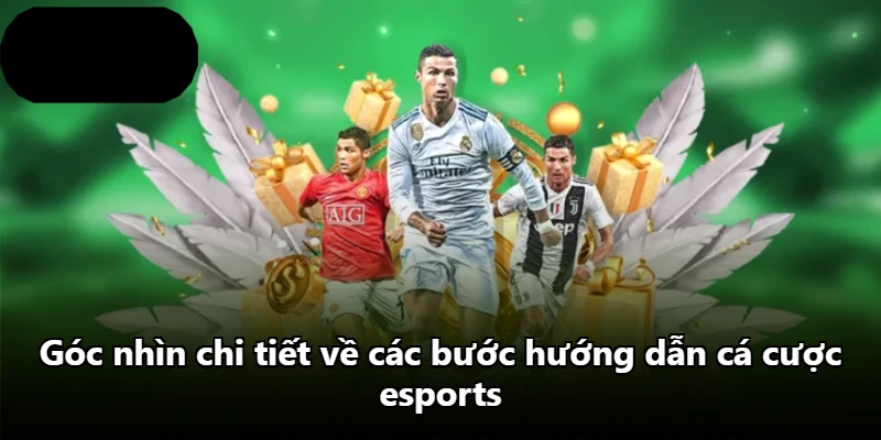 Góc nhìn chi tiết về các bước hướng dẫn cá cược esports Góc nhìn chi tiết về các bước hướng dẫn cá cược esports