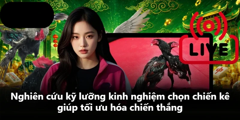 Nghiên cứu kỹ lưỡng kinh nghiệm chọn chiến kê giúp tối ưu hóa chiến thắng Nghiên cứu kỹ lưỡng kinh nghiệm chọn chiến kê giúp tối ưu hóa chiến thắng