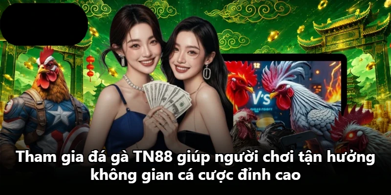 Tham gia đá gà TN88 giúp người chơi tận hưởng không gian cá cược đỉnh cao Tham gia đá gà TN88 giúp người chơi tận hưởng không gian cá cược đỉnh cao